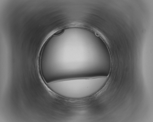 X0000112721434200908200938