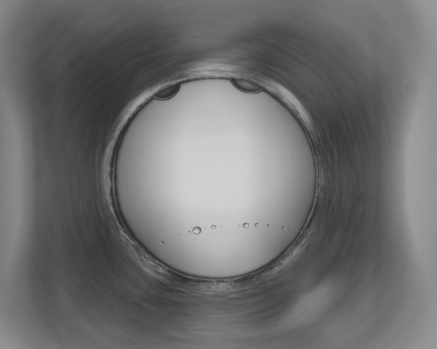 X0000112721435200908200938