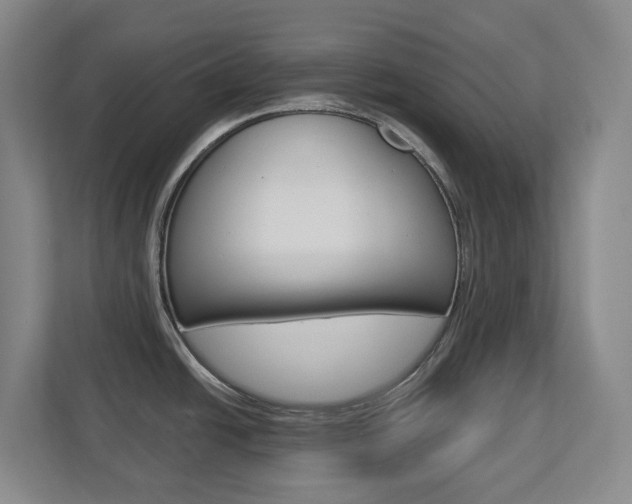 X0000112721438200908200938