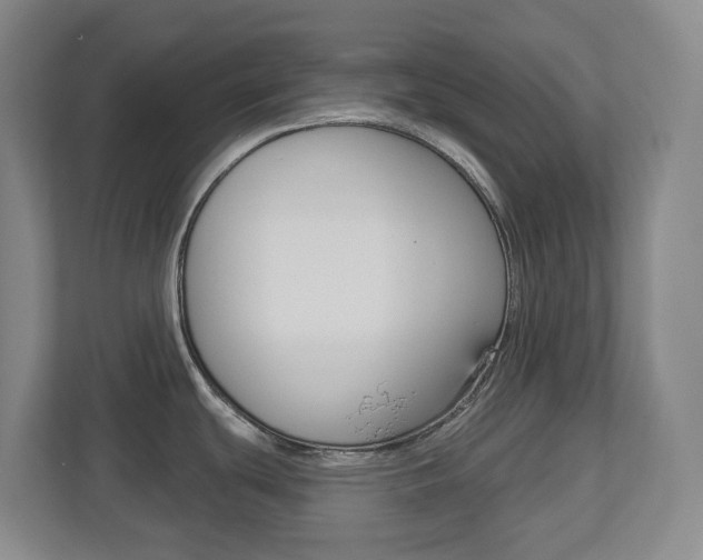 X0000112721439200908200938