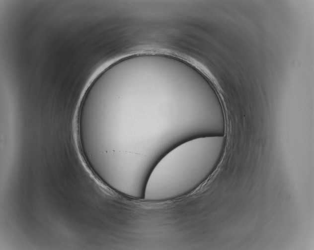 X0000112721440200908200938