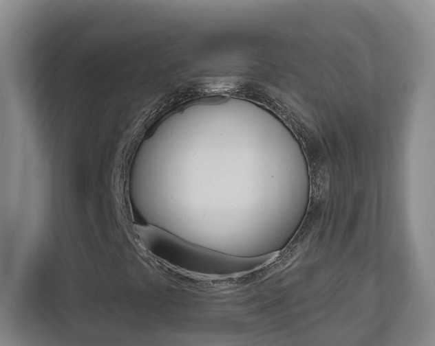 X0000112721441200908200937
