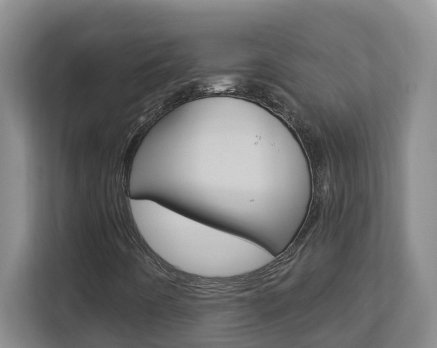 X0000112721442200908200937