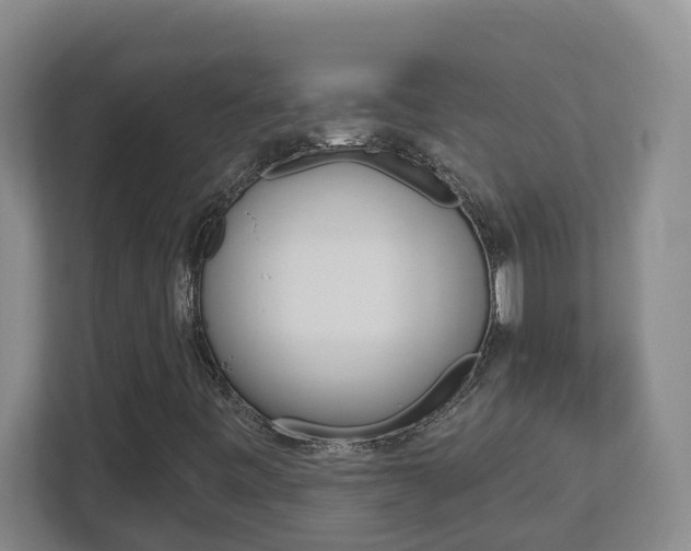 X0000112721443200908200937