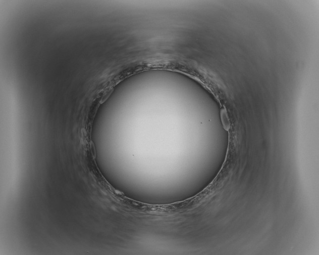 X0000112721445200908200937