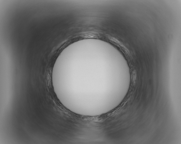 X0000112721446200908200937