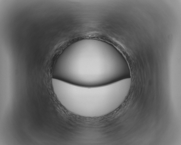 X0000112721447200908200937