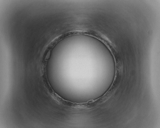X0000112721448200908200937