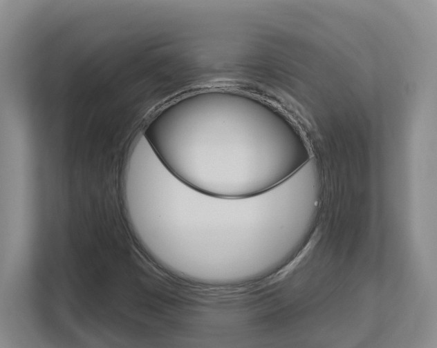 X0000112721449200908200937