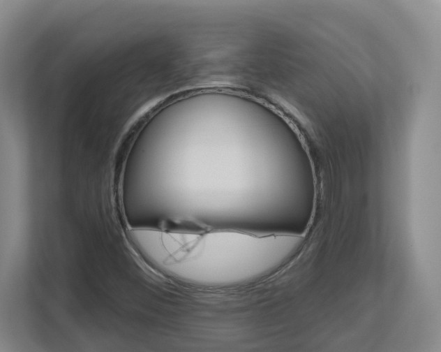 X0000112721452200908200937