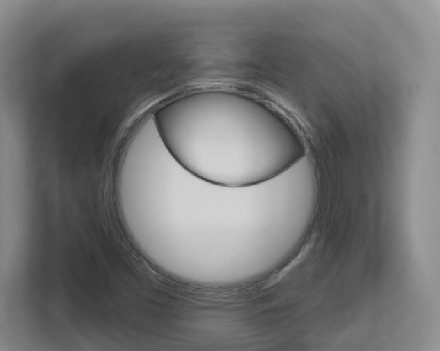 X0000112721453200908200937