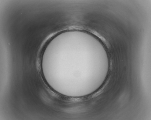 X0000112721454200908200937