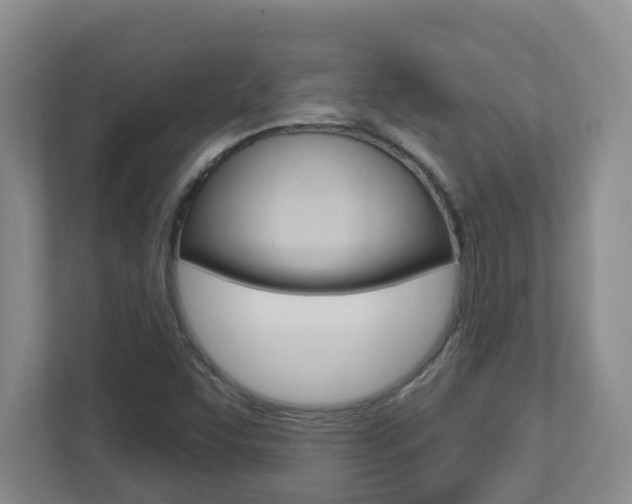 X0000112721455200908200937