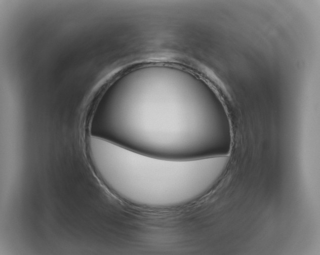 X0000112721456200908200937