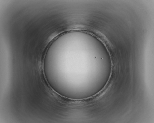 X0000112721457200908200937