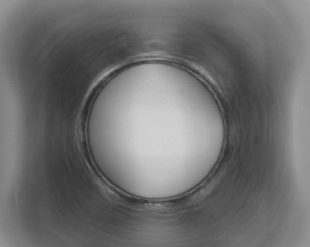 X0000112721458200908200937