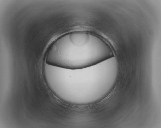 X0000112721459200908200937