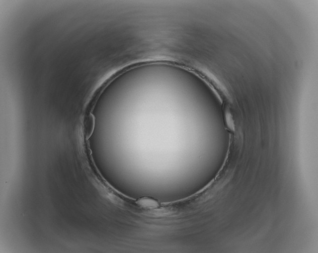 X0000112721460200908200937