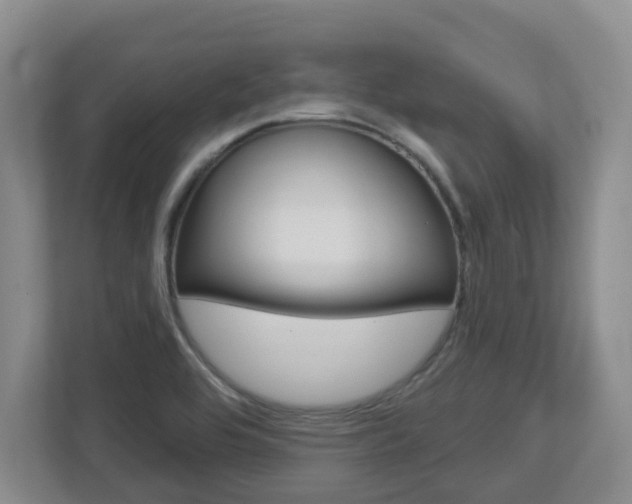 X0000112721464200908200937