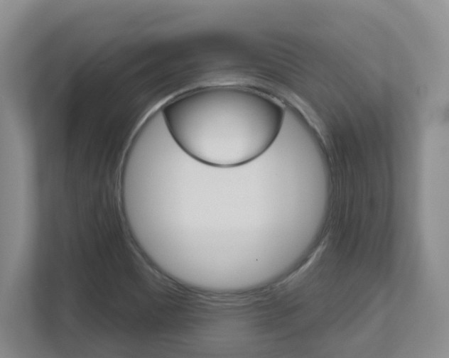 X0000112721465200908200937