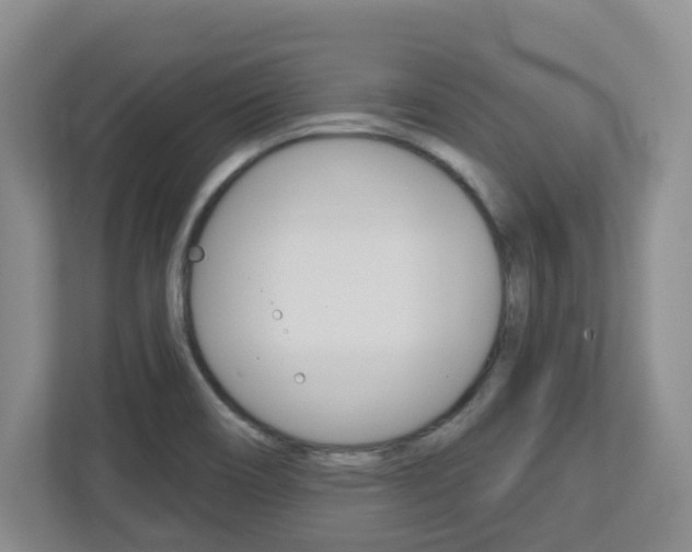 X0000112721466200908200937