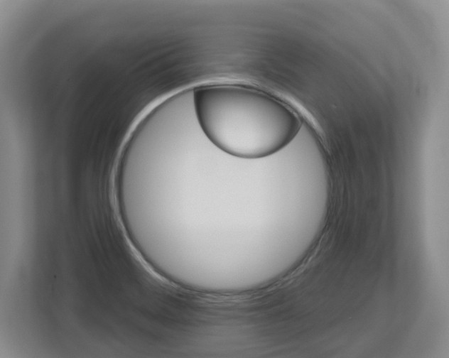 X0000112721468200908200937