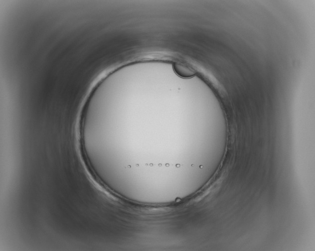 X0000112721471200908200936