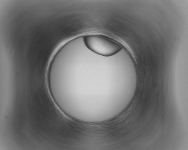 X0000112721472200908200936
