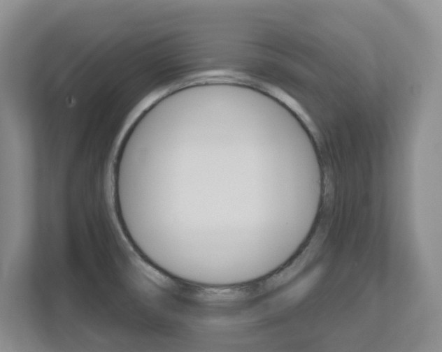 X0000112721474200908200936