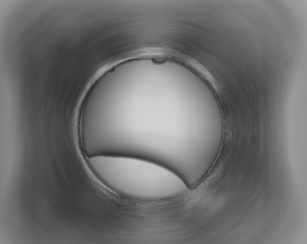 X0000112721475200908200936