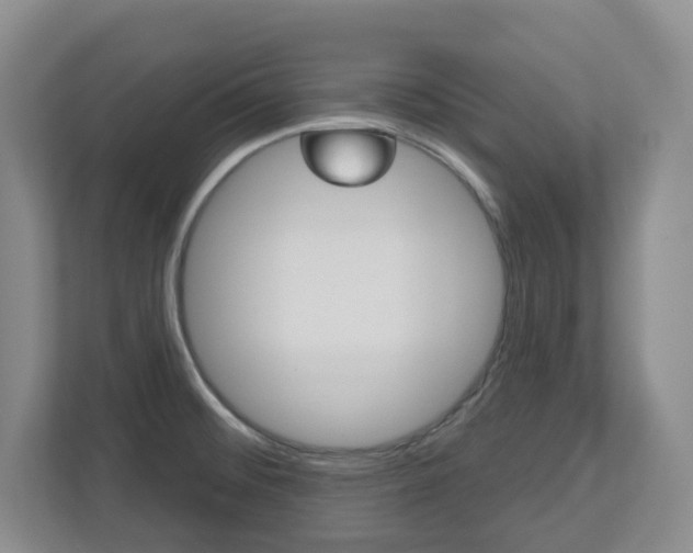 X0000112721476200908200936