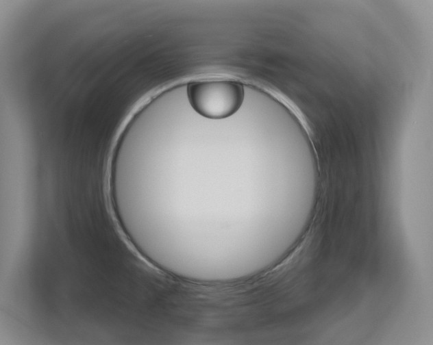 X0000112721477200908200936
