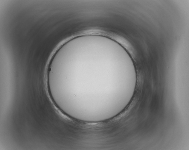 X0000112721478200908200936