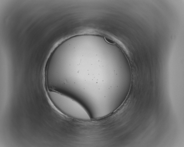 X0000112721479200908200936