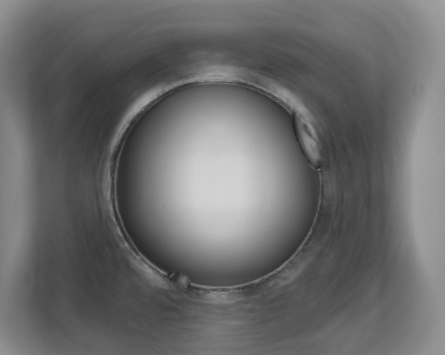 X0000112721480200908200936