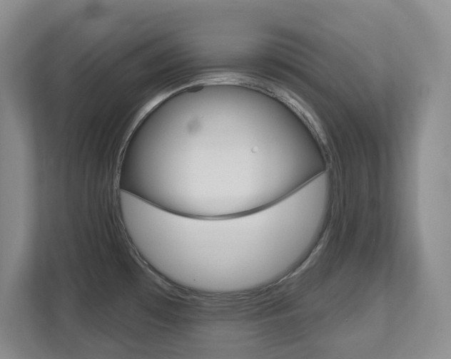 X0000112721481200908200936