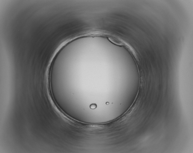 X0000112721483200908200936