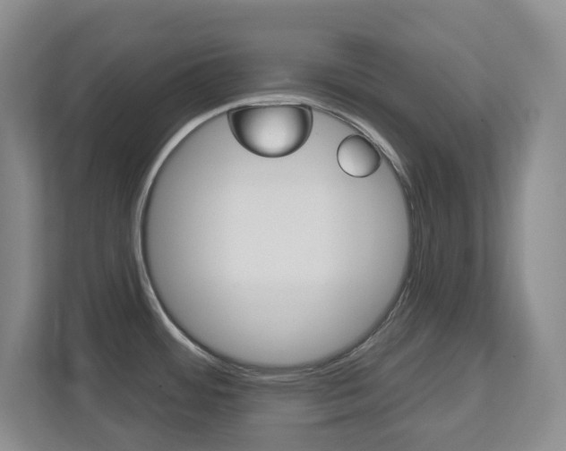 X0000112721484200908200936
