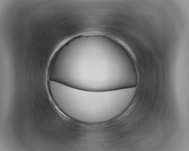 X0000112721485200908200936