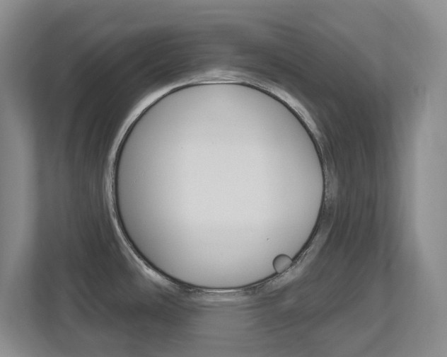 X0000112721486200908200936