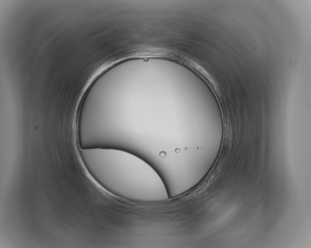 X0000112721487200908200936