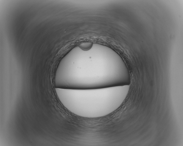 X0000112721489200908200936