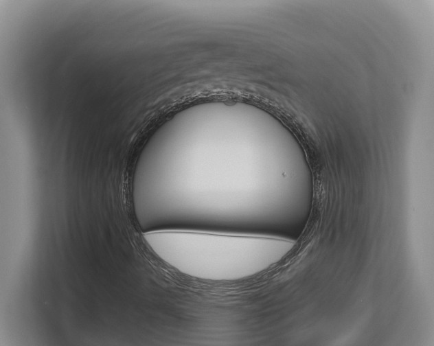 X0000112721490200908200936