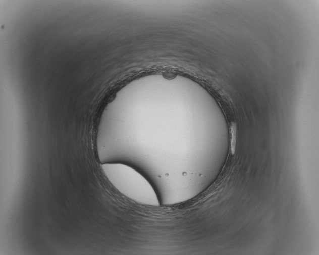 X0000112721491200908200936