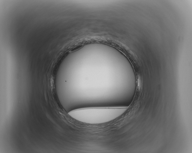 X0000112721492200908200936