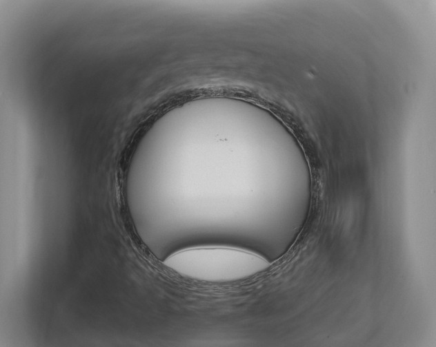X0000112721493200908200936