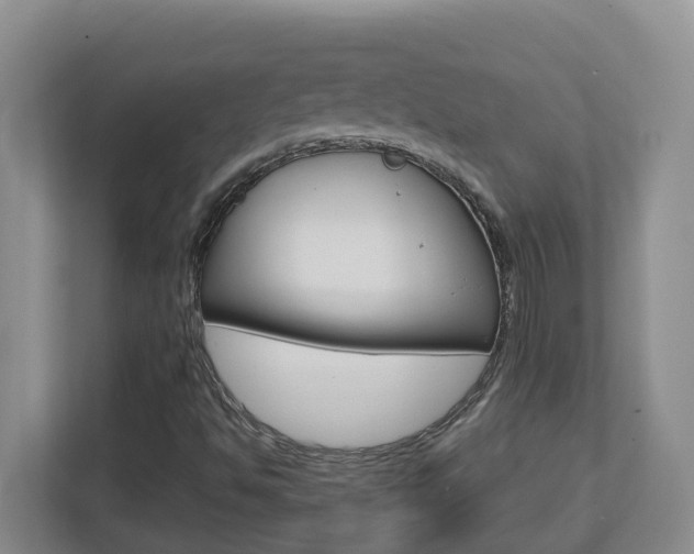 X0000112721494200908200936