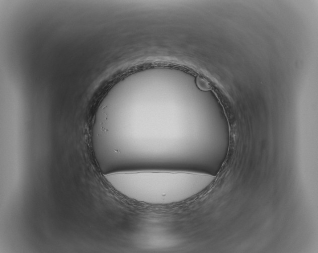 X0000112721495200908200936