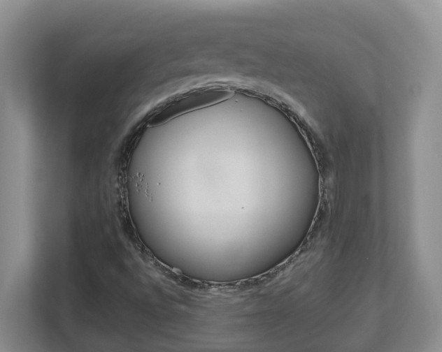 X0000112721496200908200936