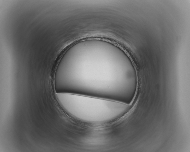 X0000112721497200908200936